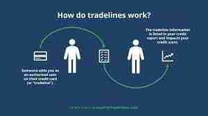 how authorized user tradelines work